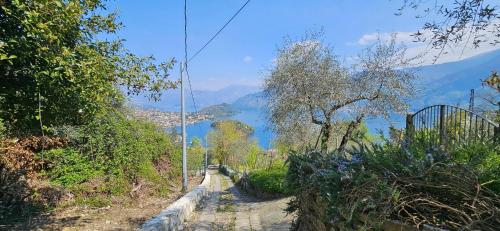 a dirt road with a view of a lake at Baita La Lidia in Sala Comacina
