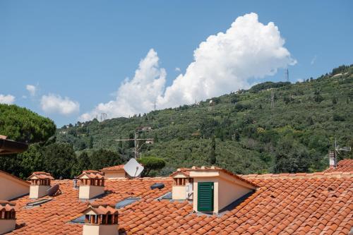 a group of roofs with a mountain in the background at Angolo sui tetti a Pietrasanta in Pietrasanta