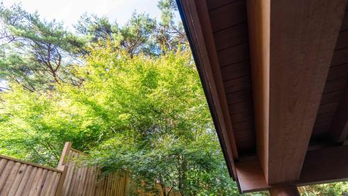 a window in a house looking out at a tree at Motosu Phoenix Hotel in Fujikawaguchiko