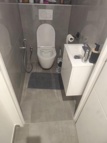 une petite salle de bain avec toilettes et lavabo dans l'établissement Chambre spacieuse #1, à Clonas-sur-Varèze