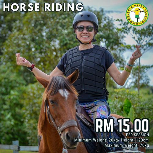 Menunggang kuda di penginapan di ladang atau berdekatan