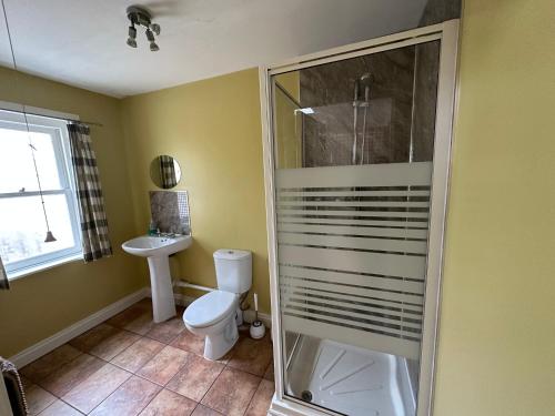 a bathroom with a shower and a toilet and a sink at Belton House Guest Rooms in Wanlockhead