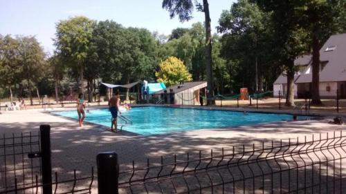 two people are playing in a swimming pool at Hengelhoef Berk 5 in Houthalen-Helchteren
