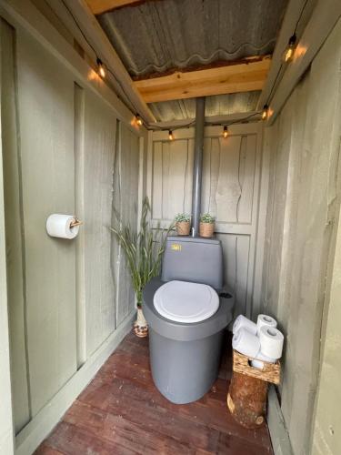 a bathroom with a toilet with plants in it at Majakatare Holiday Homes in Maasi