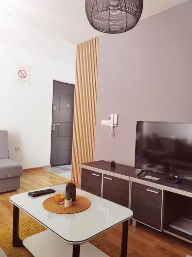 TV a/nebo společenská místnost v ubytování For You Vrnjačka Banja