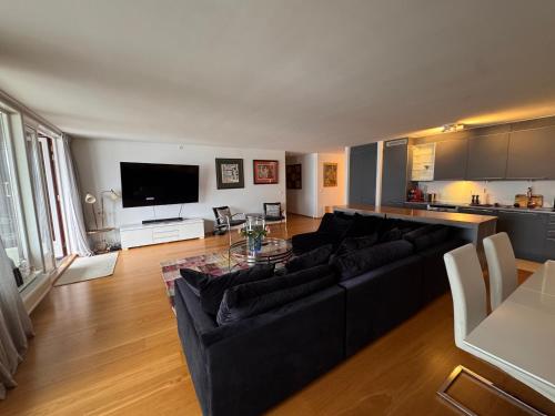 TV a/nebo společenská místnost v ubytování Sea front Apartment Aker Brygge