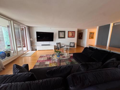 TV a/nebo společenská místnost v ubytování Sea front Apartment Aker Brygge