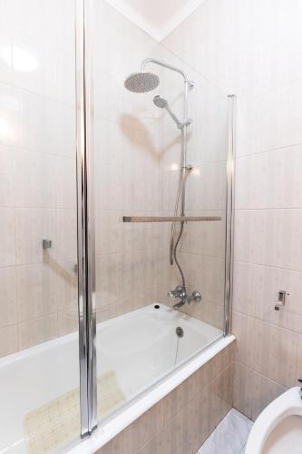 a bathroom with a shower with a tub and a toilet at Blue Bay Apt - São Martinho do Porto in São Martinho do Porto