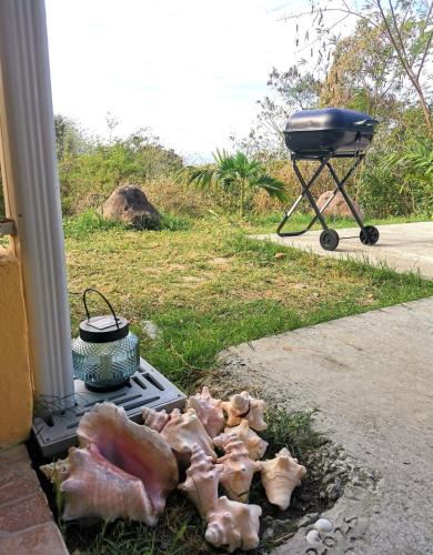 a barbecue grill sitting on the side of a yard at KaZandoli in Les Anses-dʼArlets
