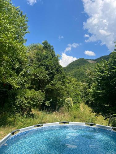 a large swimming pool in the middle of a forest at Vegan bed and breakfast Colle della luna in Borgo Pace
