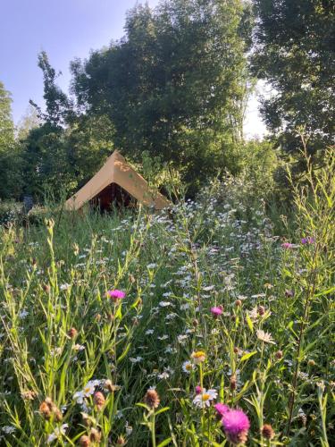Κήπος έξω από το Natuurglamping 't Wijland