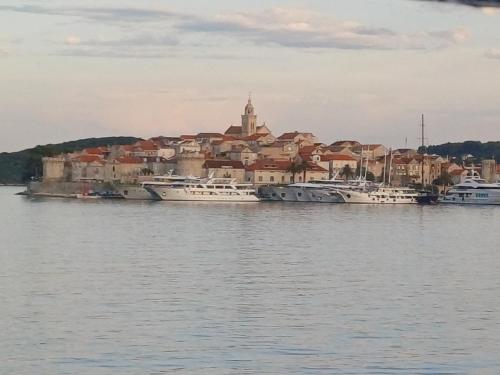 Bonifačić