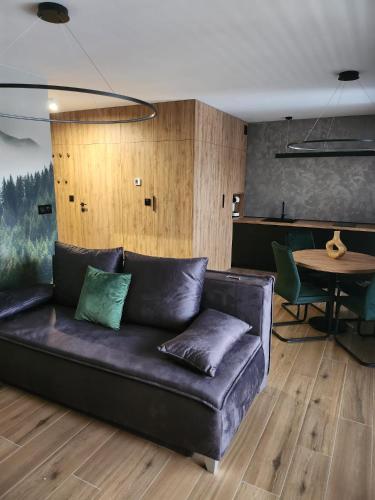 APARTAMENT Z PRYWATNYM GARAŻEM NARCIARSKA 14h