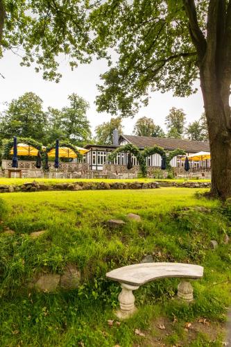 a bench sitting in the grass under a tree at Hotel Waldesruh Am See in Aumühle