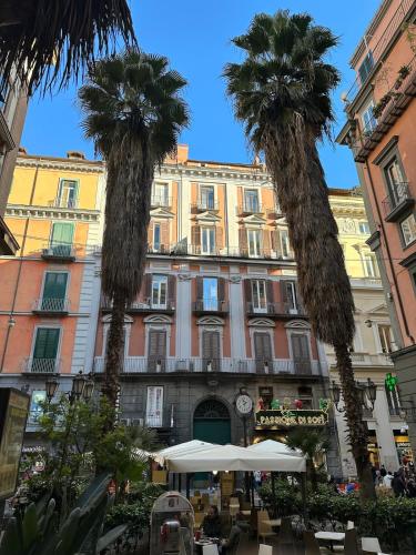 Seagulls House in the Heart of Naples Via Toledo