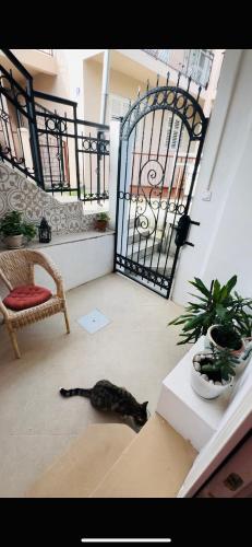 Balkoni atau teres di Casa Iva