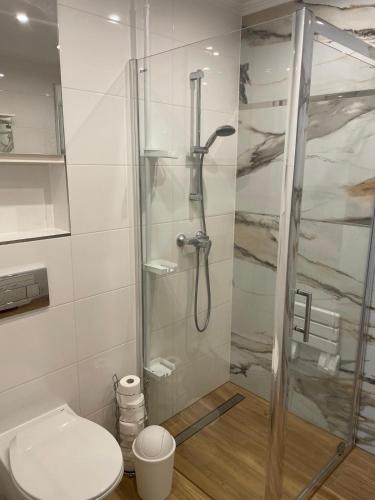 a bathroom with a shower and a toilet at Waniliowa oaza in Puck