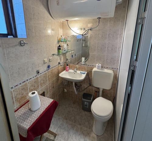 a small bathroom with a toilet and a sink at Етаж от къща - Желкови in Varna City