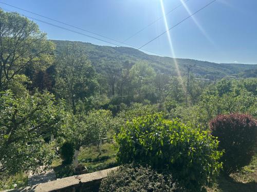 a view of a forest with mountains in the background at La Colonelu in Sărata-Monteoru