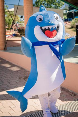 a person dressed in a shark costume at Hotel Eldorado in Apiro