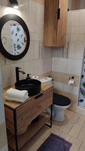 a bathroom with a sink and a toilet at Agroturystyka Wypoczynkowa II in Zieleniewo