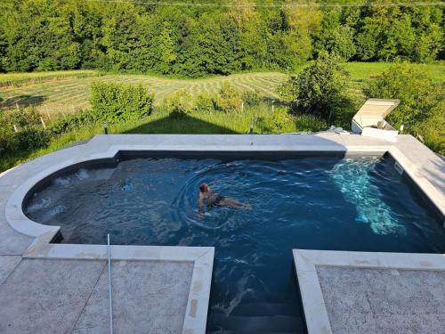 a man swimming in a pool in a yard at Vikendica OM relax in Prijedor