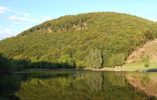 a mountain reflection in a lake with a boat at Holunder nah am Waldsee 2 in Rieden