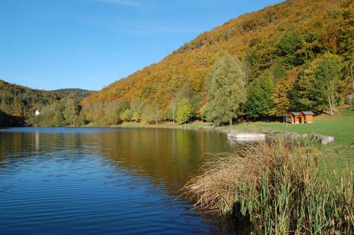 a lake with a boat in the middle of a mountain at Holunder nah am Waldsee 2 in Rieden