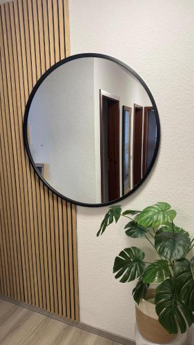 a round mirror on a wall with a plant at SweWasWohnung in Balingen