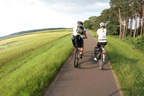 two people riding bikes down a bike path at Bike Camping in Przewóz