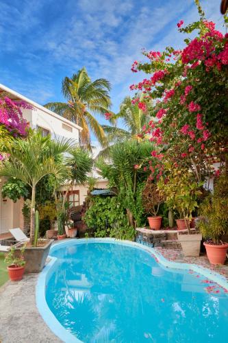 a swimming pool in front of a house with flowers at Hotel Albemarle Galapagos Beachfront in Puerto Villamil