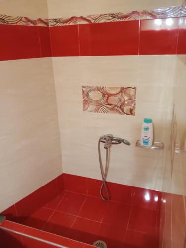 a shower in a bathroom with a red tub at Theodore's Mansion Your aristocratic escape in Greece in Panteli