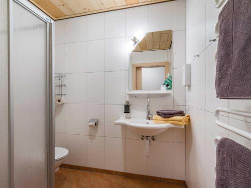 a bathroom with a sink and a toilet and a mirror at Haus am Wildbach in Auffach
