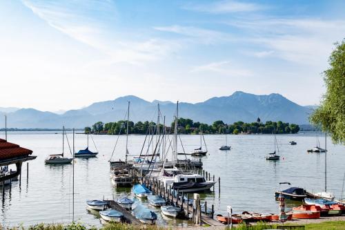 a group of boats docked at a dock on a lake at ChiemseeStern Vacation & Recreation "Adults Only" in Gstadt am Chiemsee