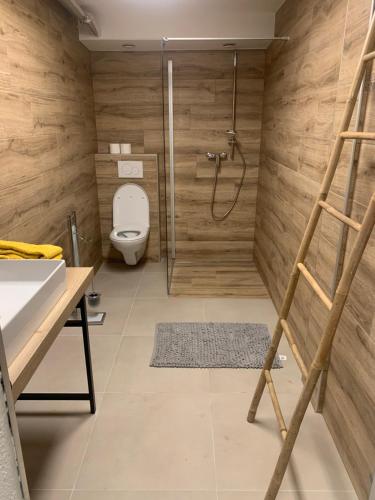 une salle de bain avec douche et toilettes et une échelle dans l'établissement Appartment Emosson 2, à Finhaut
