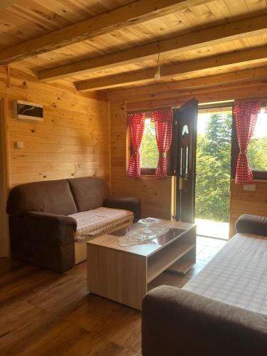 a living room with a couch and a coffee table at Komovi-Apartment in Kolašin