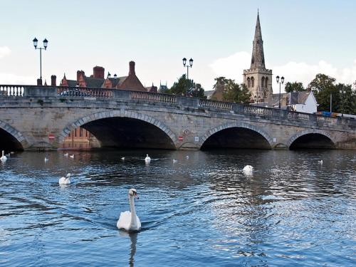 a group of swans in the water under a bridge at Virexxa Bedford Centre - Alpha Suite - 2Bed Flat with Free Parking & Gym in Bedford