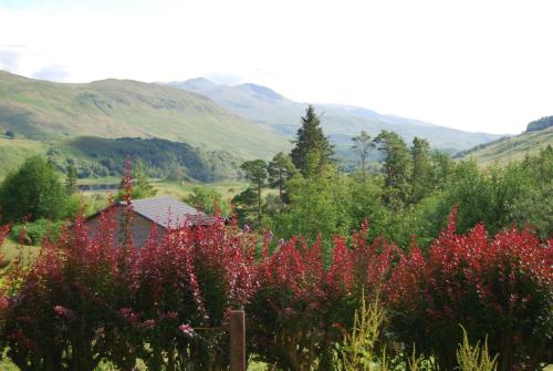 a field of flowers with a house and mountains in the background at Ghillies Lodge Crianlarich in Crianlarich