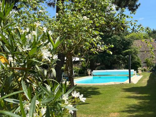 a swimming pool in a yard with trees and flowers at Les Prémices De La Forêt in Chailly-en-Bière