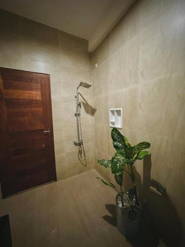 a bathroom with a shower and a potted plant at Bananas Palm Villa in Mirissa