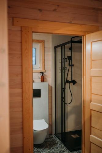 a bathroom with a toilet and a glass shower at Zakątek Wygonin Jacuzzi & Sauna w Lesie - KASZUBY in Wygonin