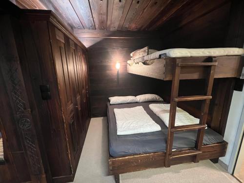 a bunk bed room with two bunk beds and a ladder at Kreidl Top 13 in Königsleiten