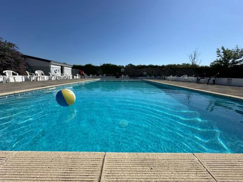 a swimming pool with a ball in the water at Caravan AH26 in Laugharne