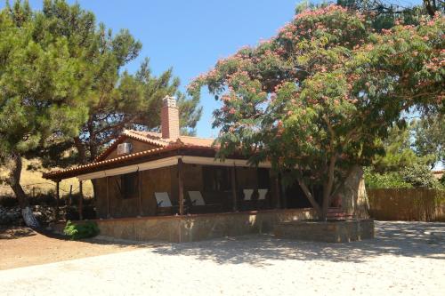 Gallery image of La casa Domenica in Moudhros