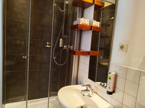 a bathroom with a shower and a sink and a mirror at WHLIVING - Apartments & Studios in Konstanz in Konstanz