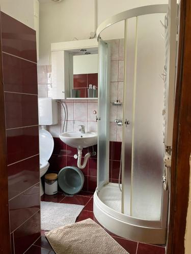 a bathroom with a shower and a toilet and a sink at Ivaa in Nova Varoš