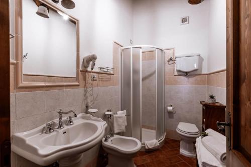 a bathroom with a sink and a toilet and a shower at Podere Conte Ugo in Contignano