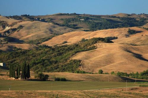 a view of a hillside with trees and a field at Podere Conte Ugo in Contignano