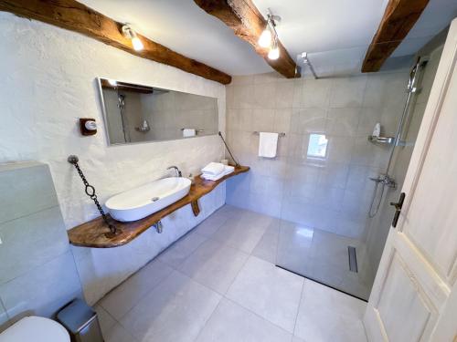a bathroom with a sink and a shower at Familija Lovrinovi Retreat - Relax&Reconnect in Zvoneće