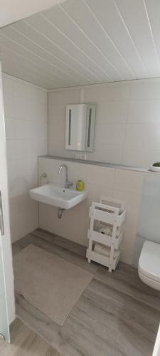 a bathroom with a sink and a toilet at FeWo Giehl in Burgebrach
